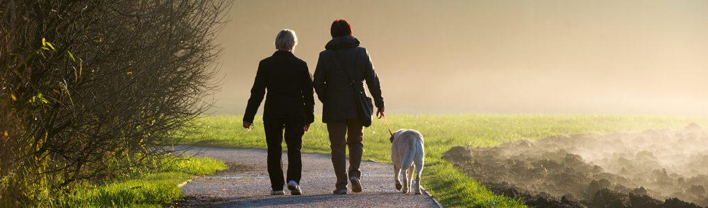 People walking after a hip replacement.